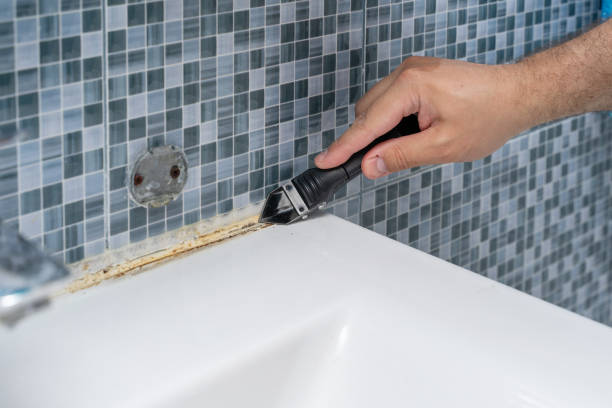 Best Mold Damage Repair  in Ross, CA