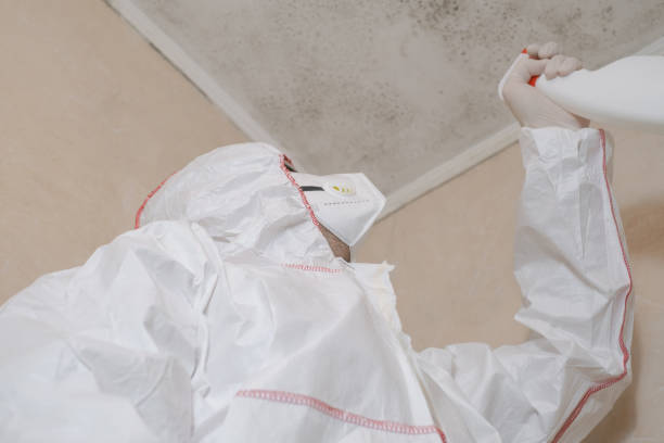 Best Crawl Space Mold Removal  in Ross, CA