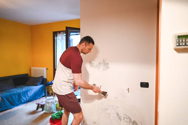Best Affordable Mold Removal  in Ross, CA
